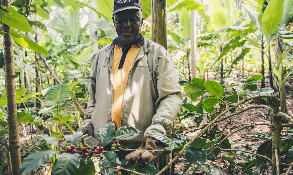 coffee farmer fourth wave of coffee